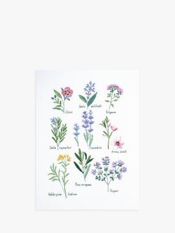 DMC Herbs Sampler Cross Stitch Kit, Multi
