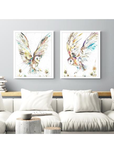 John Lewis Nicola Jane Rowles 'Barn Owl I' Framed Print, 63.5 x 53.5cm, Multi - view 2, Multi