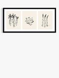 John Lewis Lucy Deaner 'Garden Trio' Framed Print, 48.5 x 103.5cm, Black