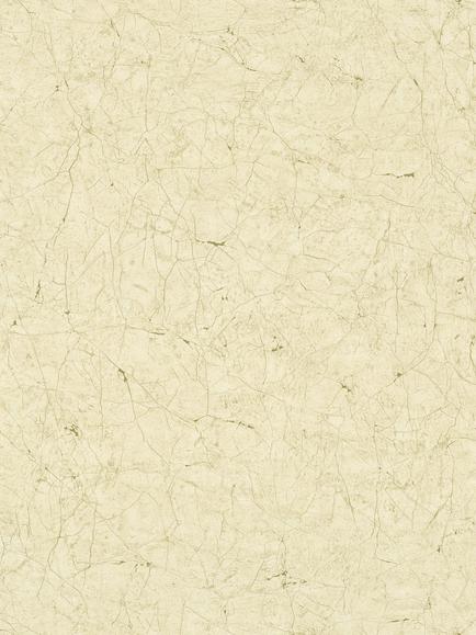 Galerie Crackle Texture Wallpaper, Beige