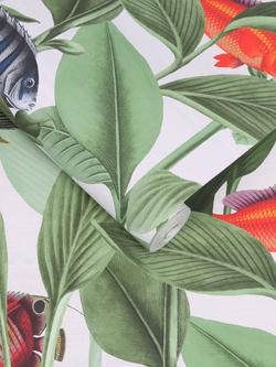 Graham & Brown Aquarium Wallpaper - view 2, Lush