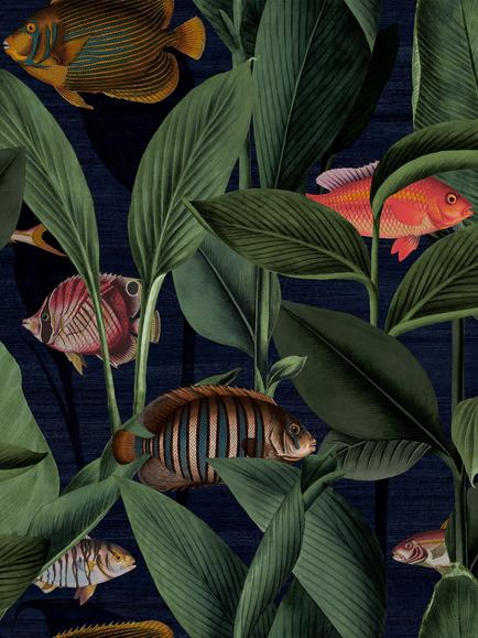 Graham & Brown Aquarium Wallpaper, Deep Sea