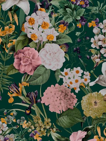 Graham & Brown Glasshouse Day Wallpaper, White/Multi, Emr