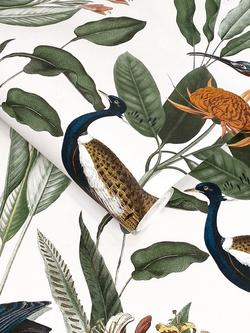 Graham & Brown Glasshouse Day Wallpaper, White/Multi - view 2, Day