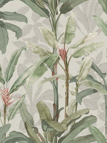 Graham & Brown Borneo Emerald Wallpaper, Green, Powder