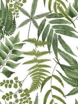 Graham & Brown Midsummer Fern Wallpaper, Lush, Lush