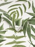 Graham & Brown Midsummer Fern Wallpaper, Lush