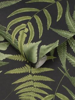 Graham & Brown Midsummer Fern Wallpaper - view 2, Black