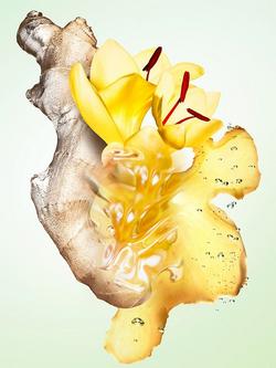 Prada Les Infusions de Prada Gingembre Eau de Parfum, 100ml - view 2, 