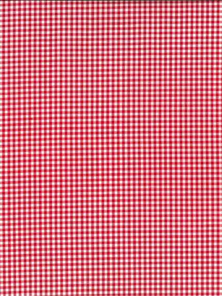 Oddies Textiles Small Cotton Gingham Fabric, Red/White