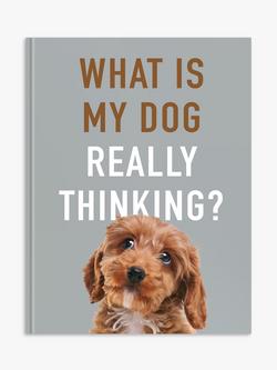 Allsorted What Is My Dog Thinking? Book, Multi