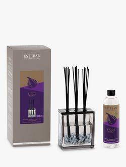 Esteban Fig Refillable Scented Bouquet Triptyque Reed Diffuser, 250ml, Multi