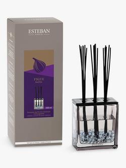 Esteban Fig Refillable Scented Bouquet Triptyque Reed Diffuser, 250ml - view 2, Multi