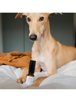 Wild For Dogs Love Bomb Dog Fragrance - view 2, Multi