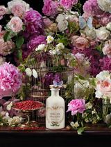 Gucci The Alchemist's Garden Where My Heart Beats Eau de Parfum