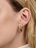 Orelia Molten Swarovski Crystals Chunky Hoops, Gold