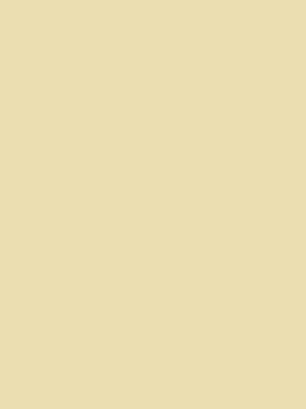 Laura Ashley Matt Emulsion Paint, Yellows, Sunshine