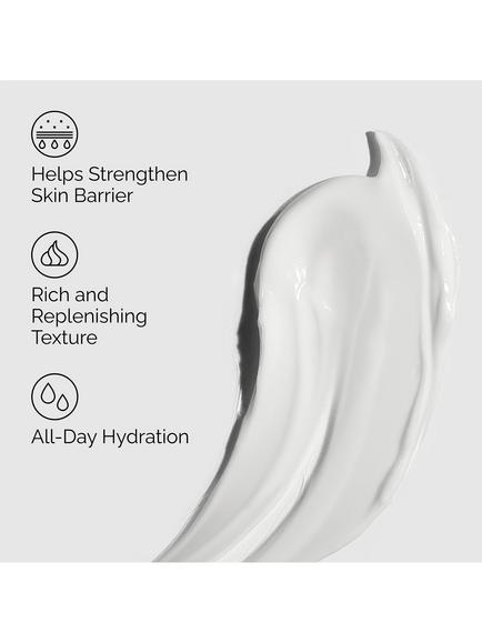 The Ordinary Natural Moisturising Factors + PhytoCeramides Rich Hydration Surface Formula, 30ml - view 2, 