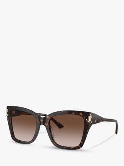 Jimmy Choo JC5012 Women's Cat's Eye Sunglasses, Tortoiseshell/Brown Gradient, Tortoiseshell/Brown Gradient