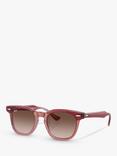 Ray-Ban RJ9098S Unisex D-Frame Sunglasses