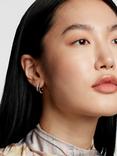 Ted Baker Helias Crystal Double Hoop Earrings