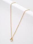Ted Baker Hannela Crystal Heart Pendant Necklace