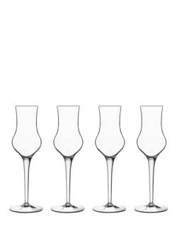 Luigi Bormioli Michelangelo Grappa Glass, Set of 4, 95ml, Clear, Clear