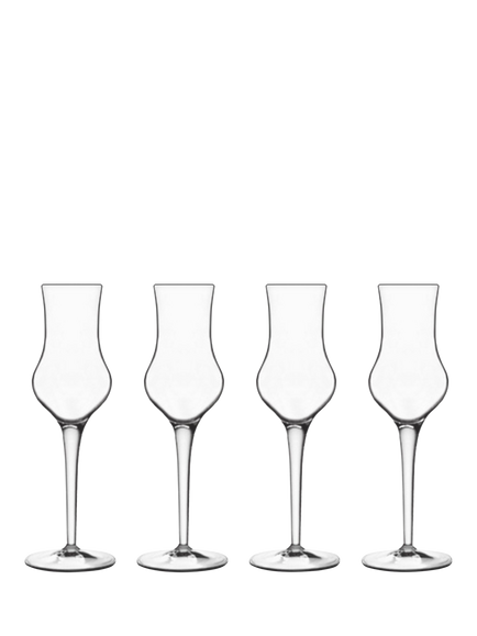 Luigi Bormioli Michelangelo Grappa Glass, Set of 4, 95ml, Clear, Clear