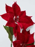 John Lewis Double Poinsettia Stem, Red