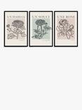 John Lewis Mercedes Lopez Charro 'French Flowers' Framed Poster Prints, Set of 3, 62 x 42cm, Multi