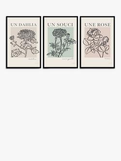 John Lewis Mercedes Lopez Charro 'French Flowers' Framed Poster Prints, Set of 3, 62 x 42cm, Multi, Multi