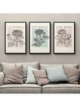 John Lewis Mercedes Lopez Charro 'French Flowers' Framed Poster Prints, Set of 3, 62 x 42cm, Multi