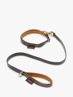 LeMieux Puppy Collar and Lead, Ginger, Multi