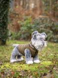 LeMieux Cooper Schnauzer Puppy