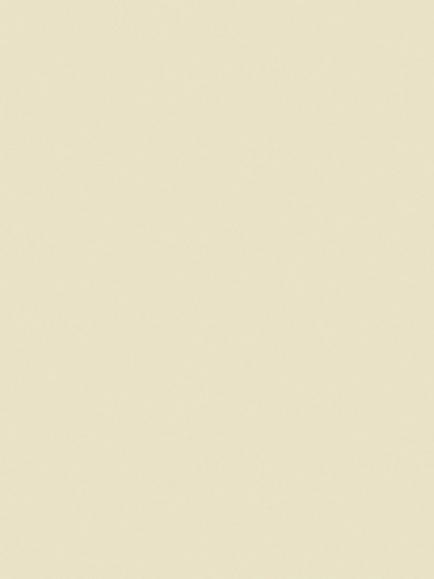 The Little Greene Paint Company Intelligent Eggshell, Light Stone Neutrals, Silent White (331)