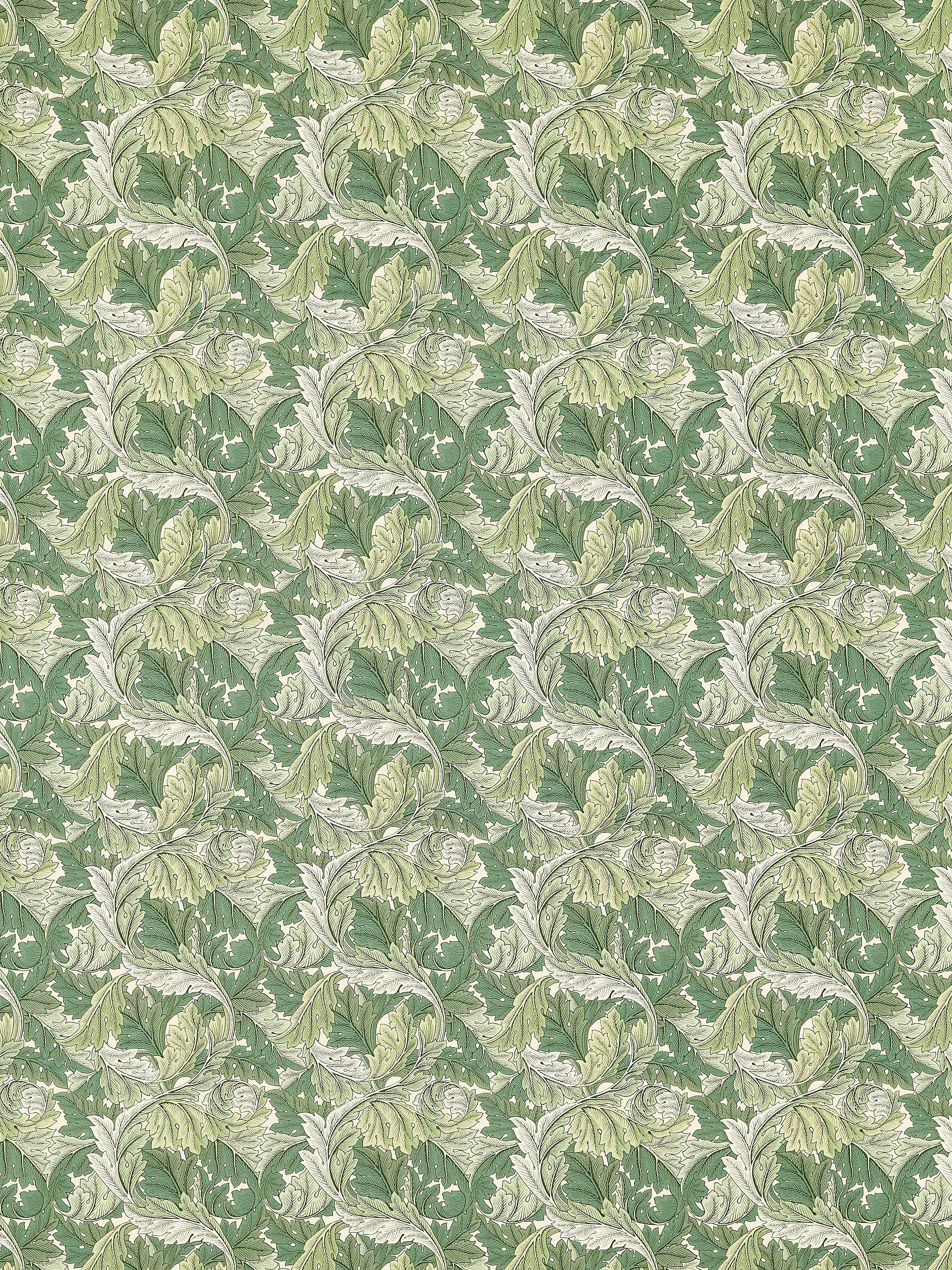 Clarke & Clarke Acanthus Furnishing Fabric, Apple/Sage