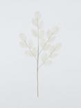 Everlands Feathery Stem, White