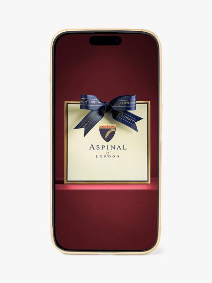 Aspinal of London iPhone 15 Pro Pebble Leather Case - view 2, Cornflower