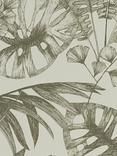 John Lewis Ipanema Heritage Wallpaper, Avocado