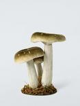 John Lewis Mushroom Cluster Decoration, Green