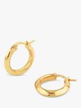 Dinny Hall Signature Chunky Hoop Earrings