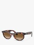 Ray-Ban RB224213 Women's Oval Sunglasses, Pink Havana