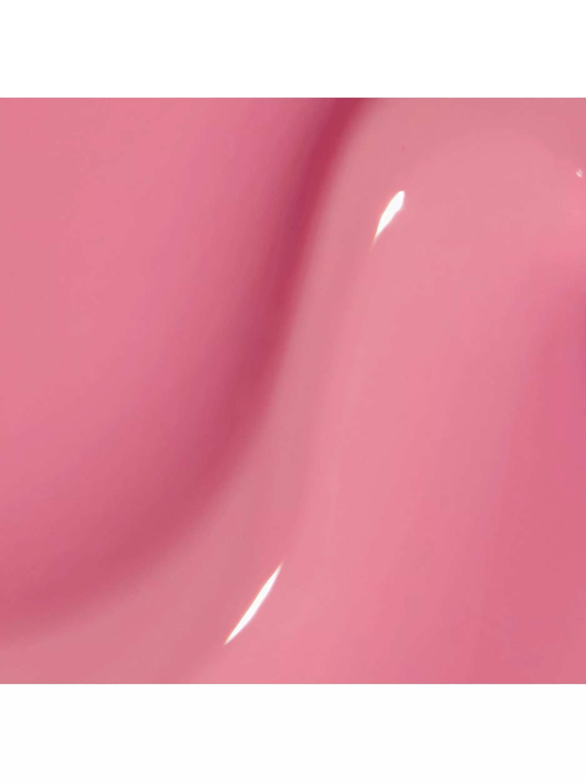 Flamingo Your Own Way 