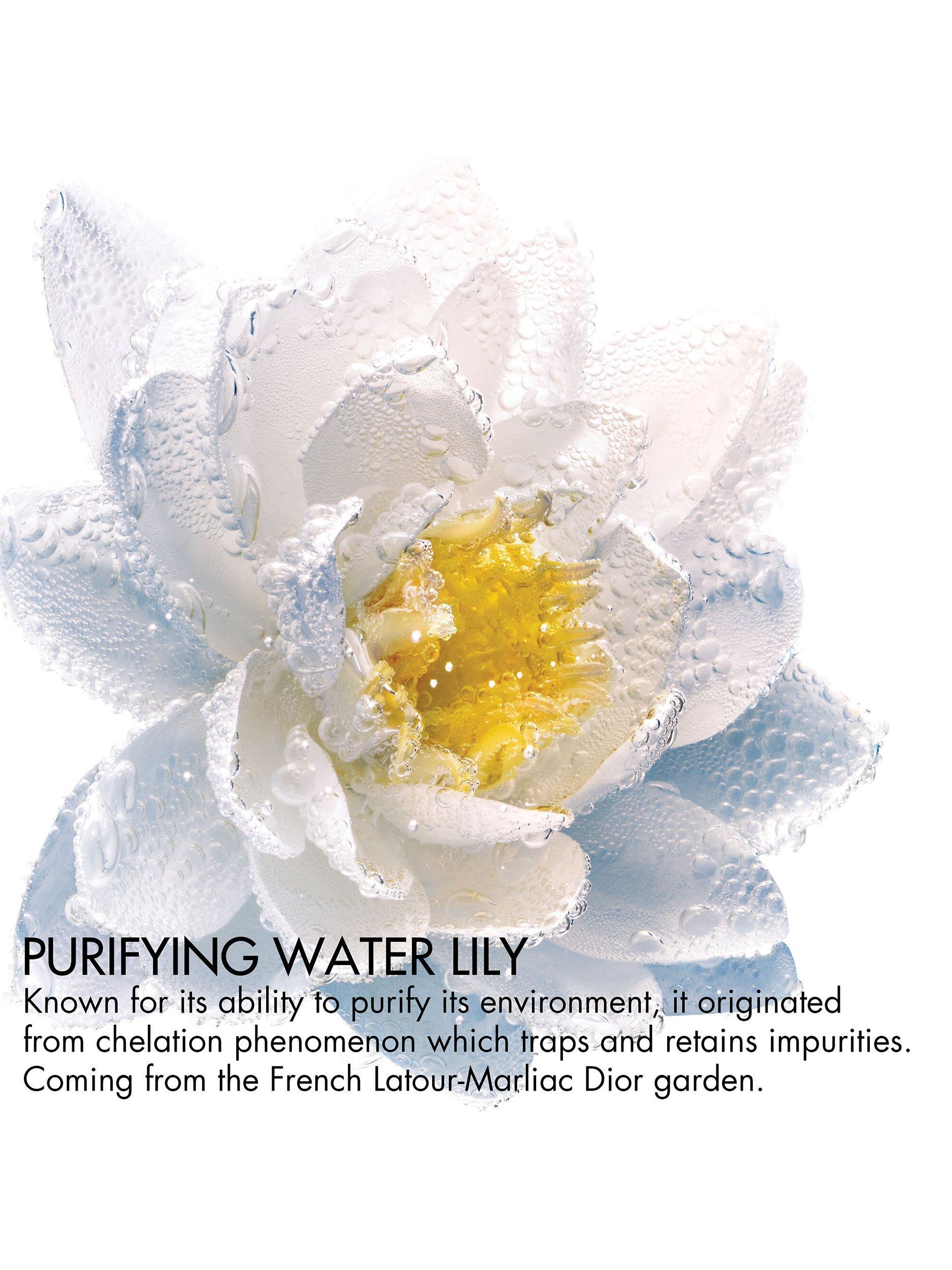 Product image 2 of 3, which shows DIOR Purifying Nymphéa Bi-Phase Makeup Remover, 125ml