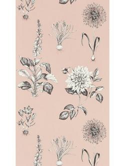 Clarke & Clarke Roseraie Wallpaper, Blush