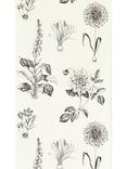 Clarke & Clarke Roseraie Wallpaper, Charcoal