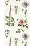 Clarke & Clarke Roseraie Wallpaper, Summer
