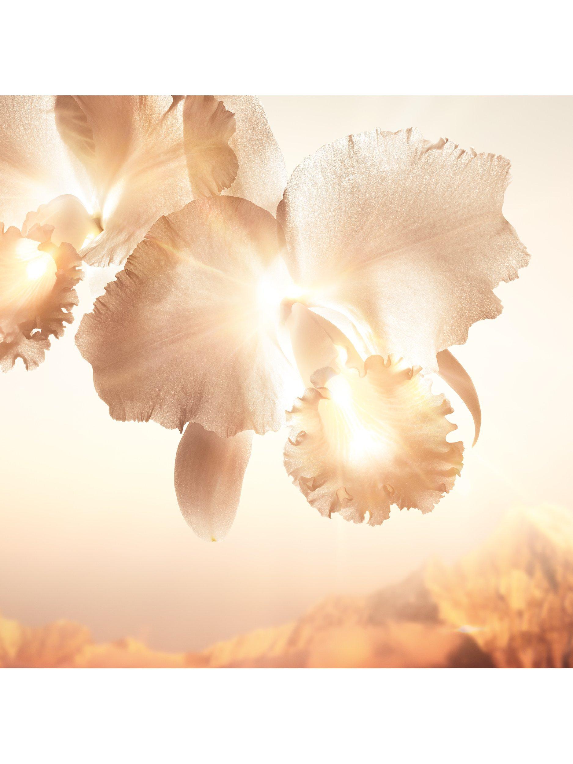 Product image 6 of 9, which shows Guerlain Orchidée Impériale Gold Nobile The Serum Refill, 30ml