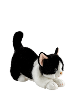 Aurora World Borealis Domino Cat Plush Soft Toy, Multi
