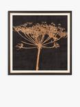 John Lewis Charlotte Oakley 'Copper Allium' Embellished Framed Print & Mount, 36 x 36cm, Dark Grey/Metallic